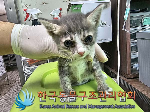 종료(자연사) 한국…